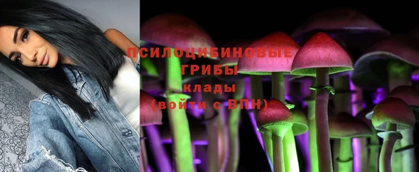 гидра Елизово