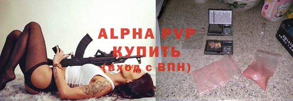 гидра Елизово