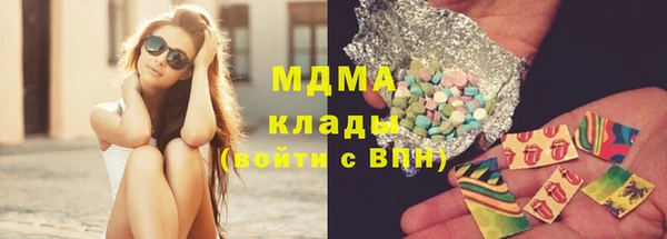 гидра Елизово