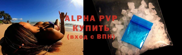 гидра Елизово