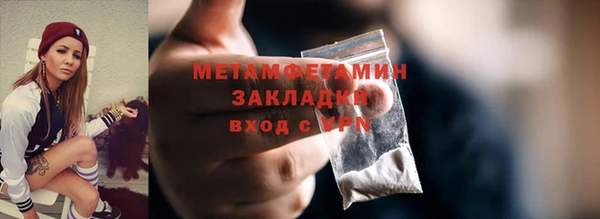 гидра Елизово