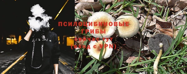 прущие крисы Елабуга