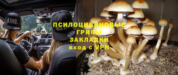 прущие крисы Елабуга