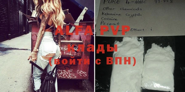 гидра Елизово