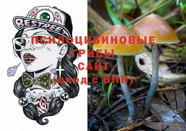 прущие крисы Елабуга