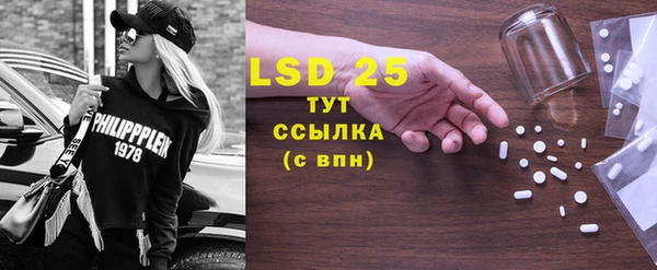 гидра Елизово