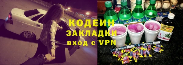 гидра Елизово