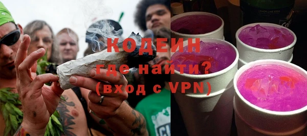 гидра Елизово