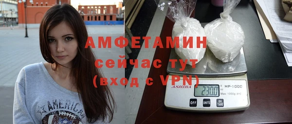 гидра Елизово