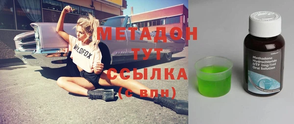 гидра Елизово